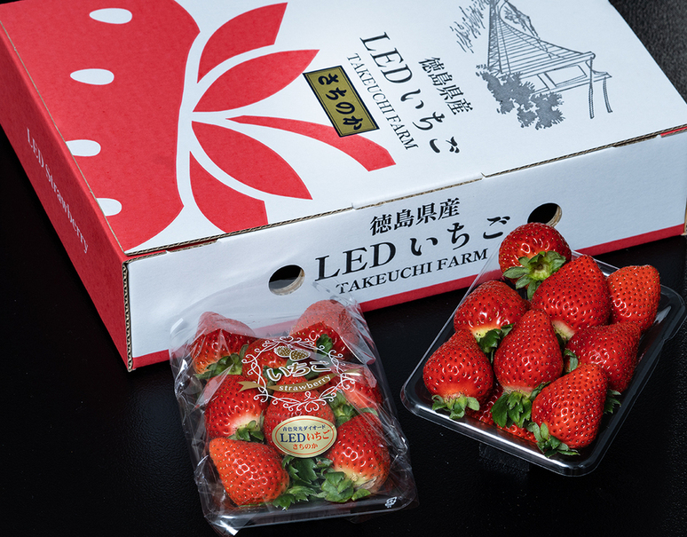 竹内農園 LEDいちご「とくしまいちご（品種 さちのか）」徳島県産 約