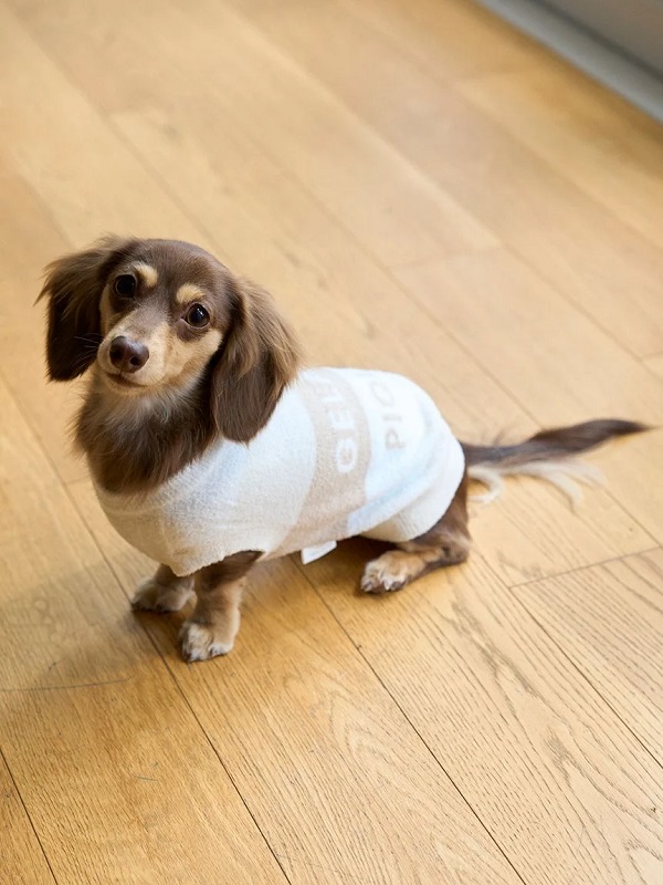 gelato pique（ジェラートピケ）【CAT&DOG】【販路限定商品】スムー