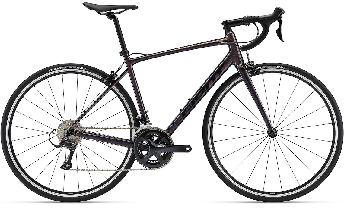 2022 GIANT Bicycles | CONTEND 1