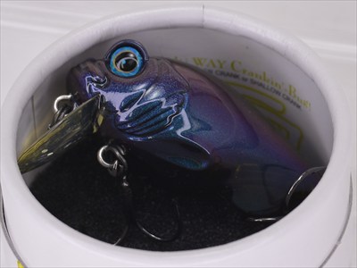 ひ*ん様 Megabass Type-X8個 GRIFFON Zero19個計2 000000020670-01-m