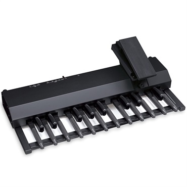 HAMMOND XPK-200G 足鍵盤 20鍵盤 ハモンド ｜イケベ楽器店オンラインストア