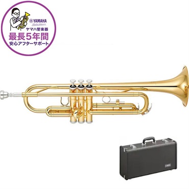 LP LP3012-SM [Stanton Moore Signature Pandeiro] ｜イケベ楽器店