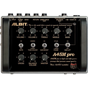 ALBIT 【入荷待ち、ご予約受付中】 A1992B pro Custom [IKEBE Order