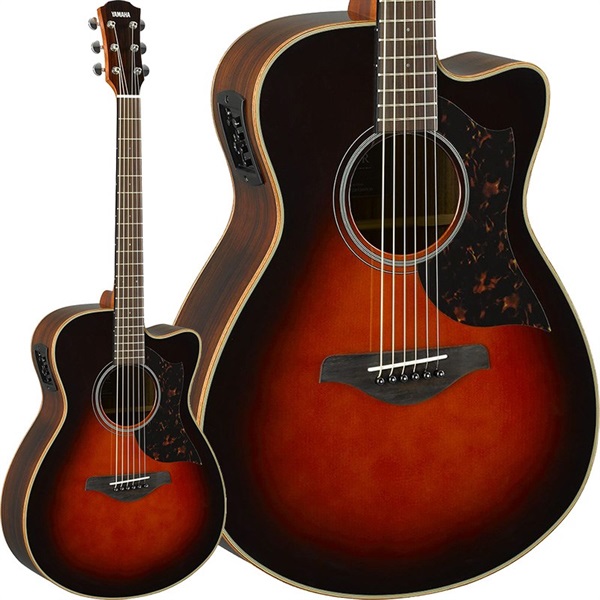 YAMAHA AC1R (Tobacco Brown Sunburst) [SAC1RTBS] ヤマハ ｜イケベ