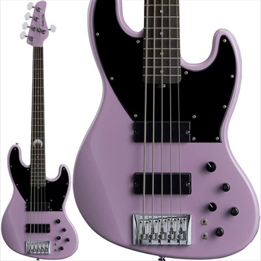 EBS 【入荷待ち、ご予約受付中】 Billy Sheehan Ultimate Signature