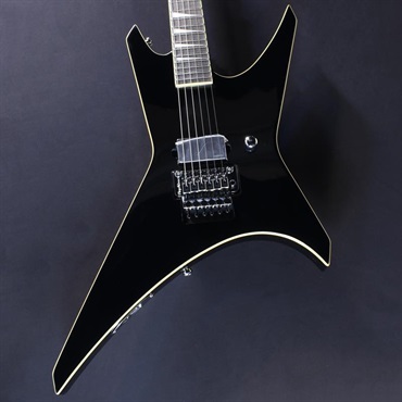 エレキギター 変形タイプ ESP SIGNATURE SERIES (海外) 商品一覧