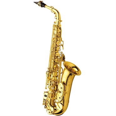 YANAGISAWA テナーサックス ヤナギサワ T-WO2 【調整&セットアップ後