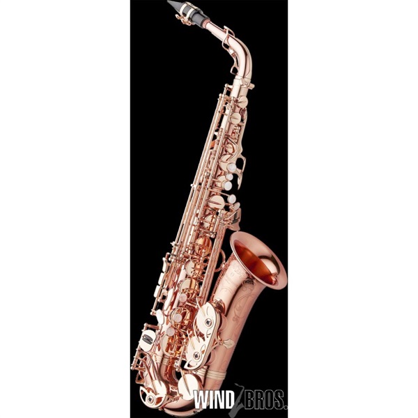 YANAGISAWA 【受注停止中/受注生産品】 アルトサックス ヤナギサワ A