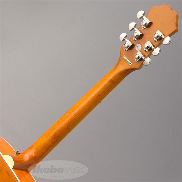 Epiphone 【数量限定エピフォン・アクセサリーパックプレゼント】DOVE