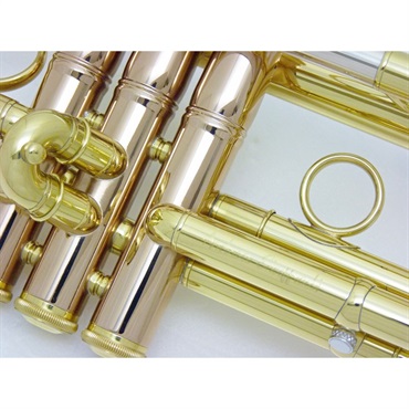 CAROL BRASS キャロルブラス / Andrea Giuffredi Model CL 【Bb