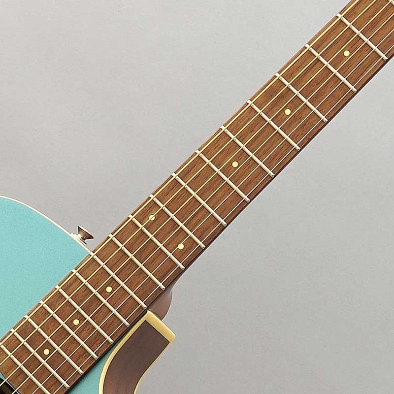Fender Acoustics 【数量限定特価】 Fender Newporter Player