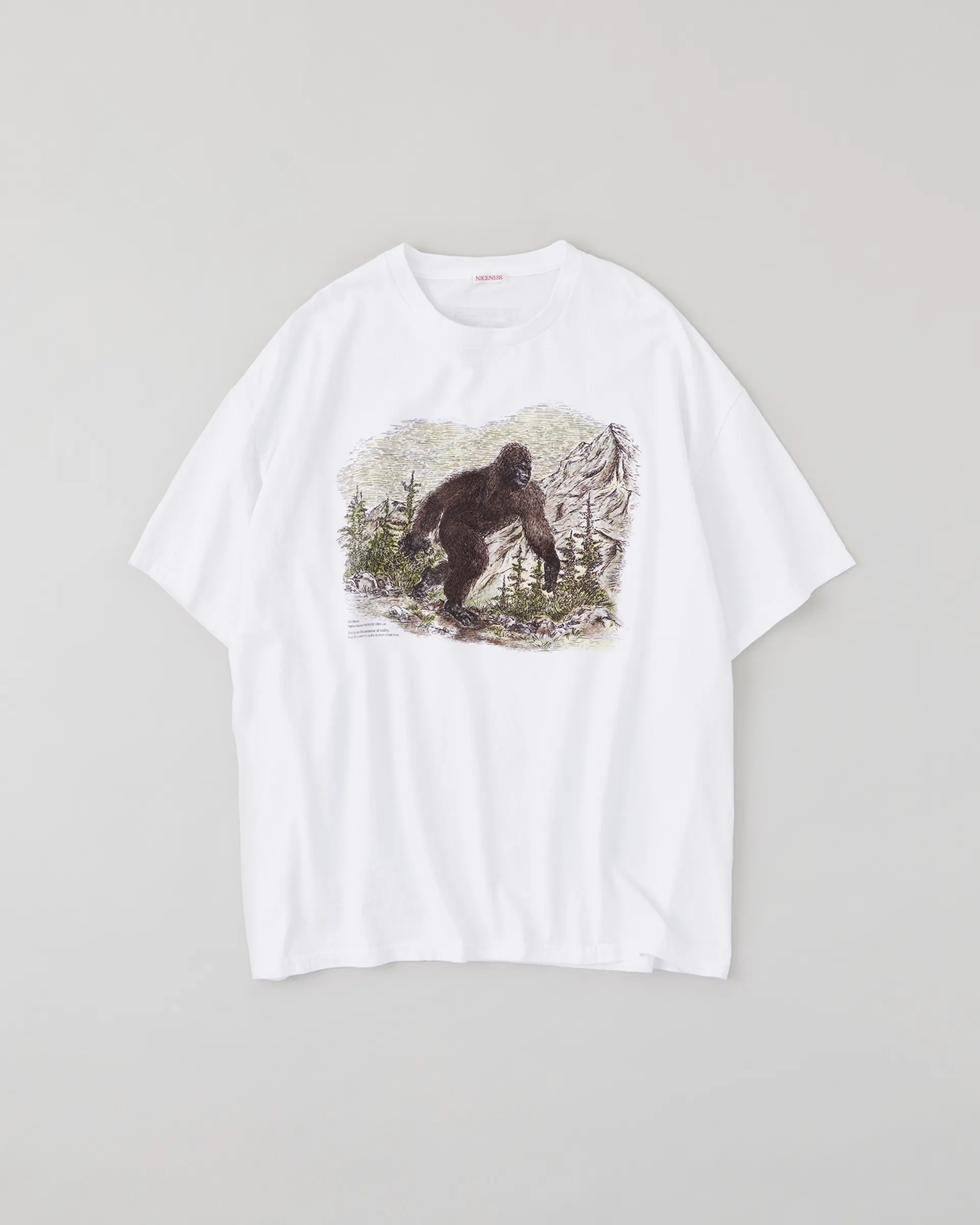 NICENESS | Official Website