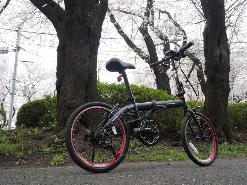 セオサイクル