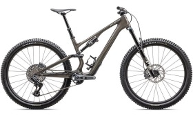 無金利キャンペーン対象】STUMPJUMPER 15 EXPERT GUN/WHTMTN S2(S2