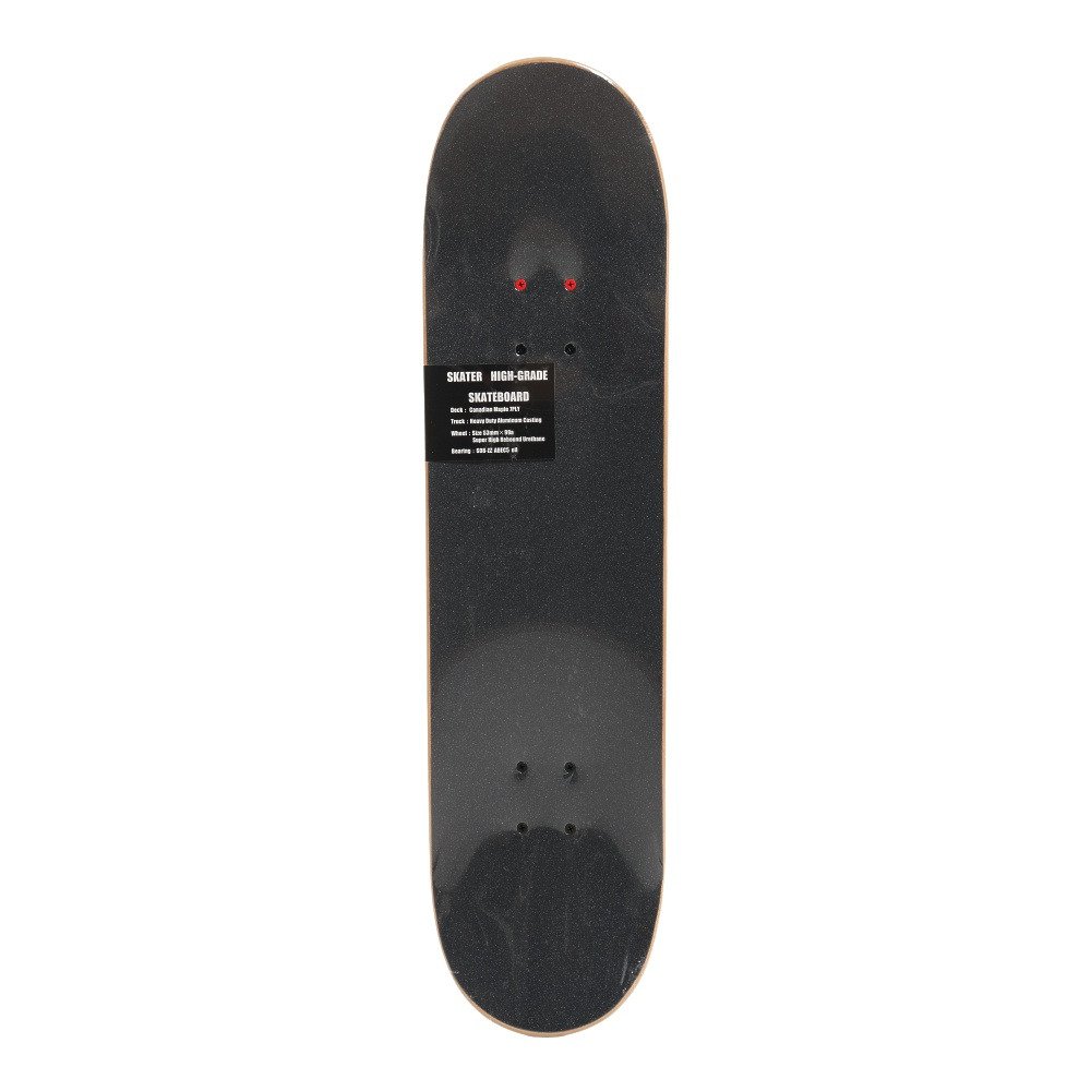 スケーター（SKATER）（メンズ、レディース）スケートボード スケボー