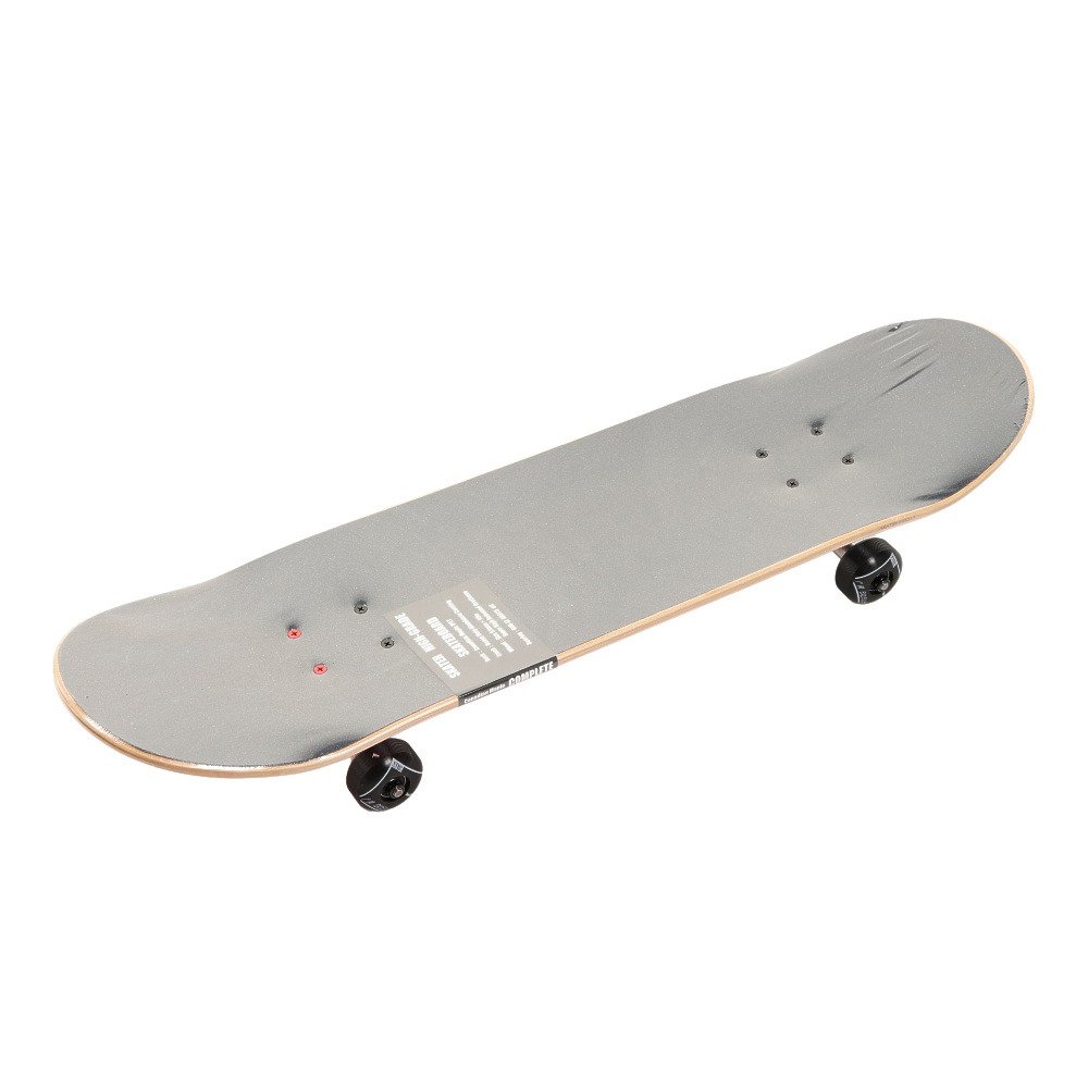 スケーター（SKATER）（メンズ、レディース）スケートボード スケボー