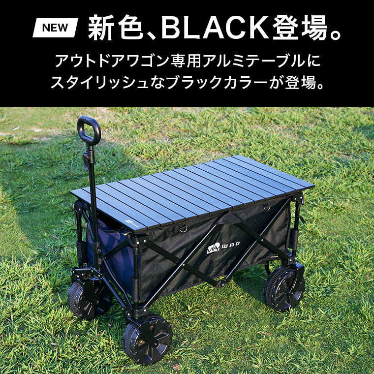 wt1-color1_mob.jpg