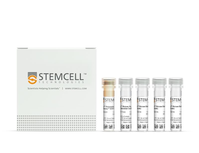 EasySep Release Human CD4 Positive Selection Kit | 製品情報 | ベリタス