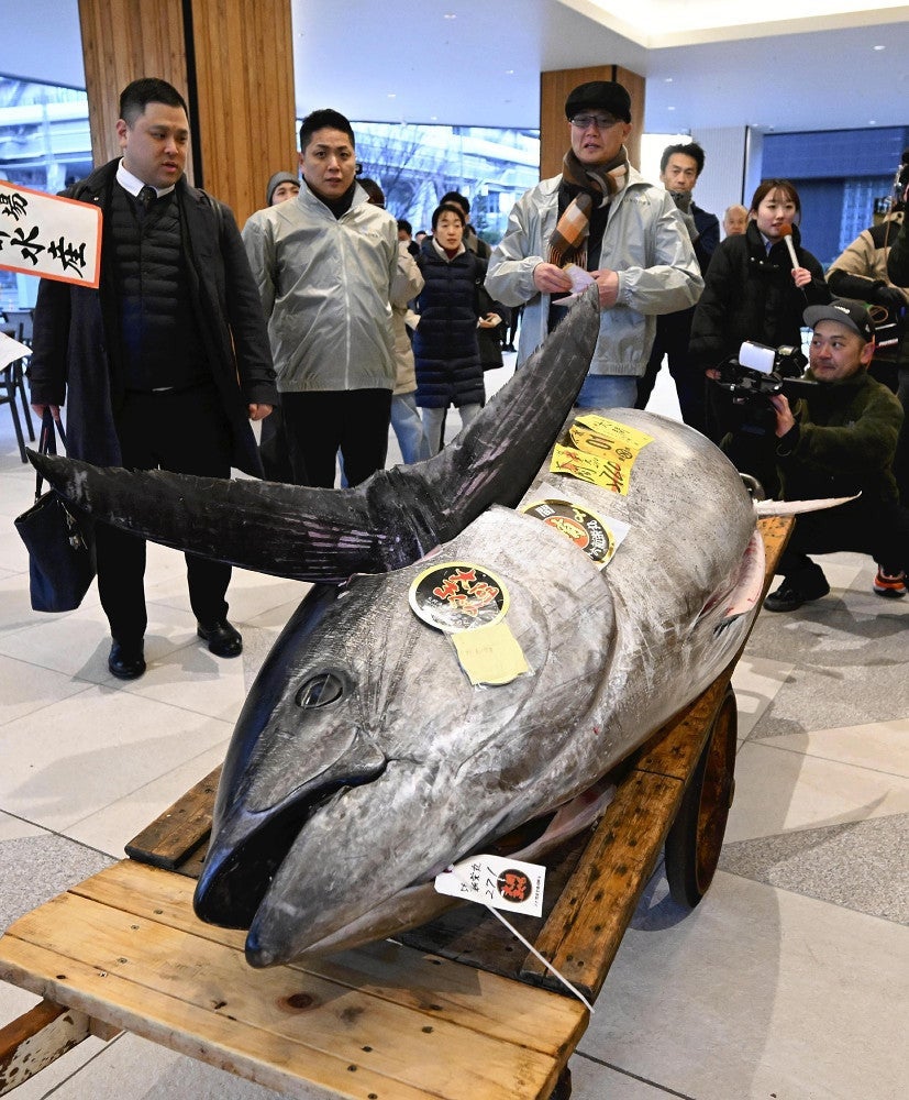 2億円超「一番マグロ」、釣り上げた青森・大間の竹内正弘さん「勝負に