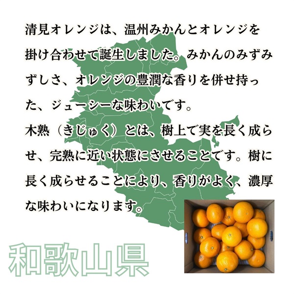 木熟清見オレンジ 3月中旬発送開始 | 全農食品オンラインショップ