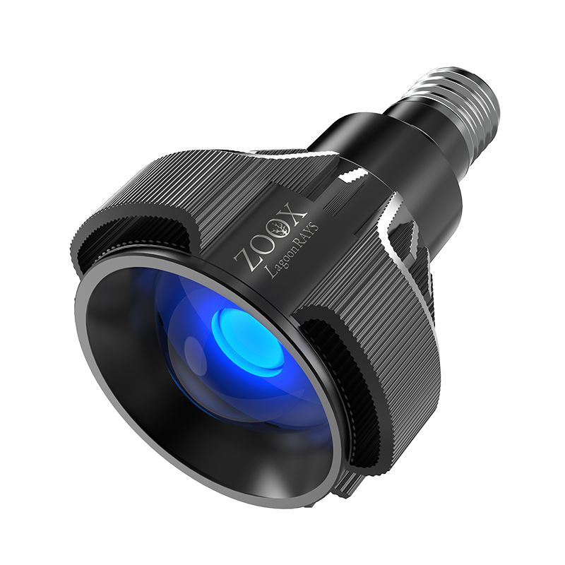 ZOOX RAYS SPOTLIGHT – ZOOX