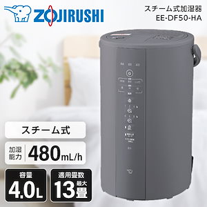 Qoo10] 象印 EE-DF50-HA グレー スチーム式