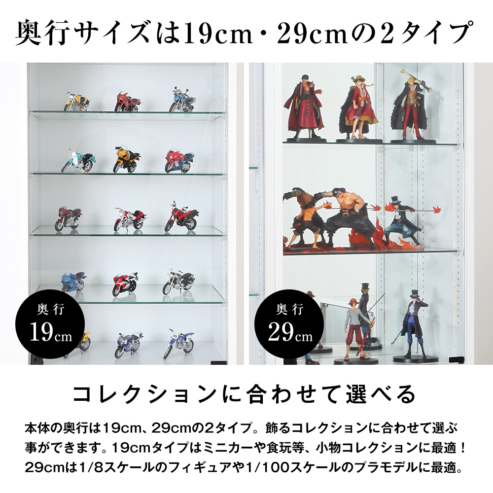 コレクションラック レギュラー ロータイプ 幅55cm×奥行19cm