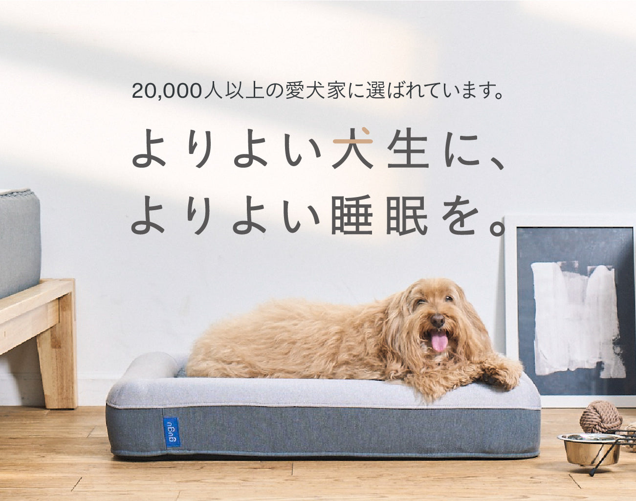 グーグースリープ【公式】｜犬用ベッド｜超小型犬・小型犬・中型犬