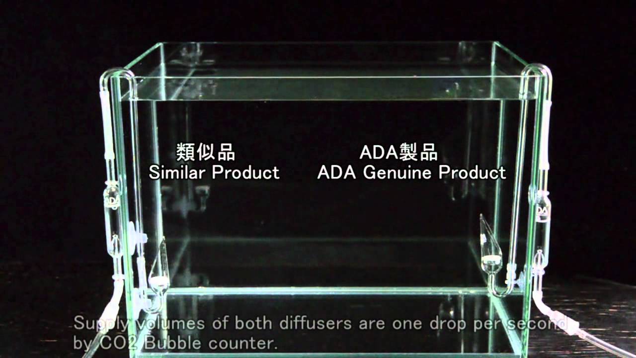 ADA view 6】 NAギャラリー水槽の経時変化とパレングラスシリーズ