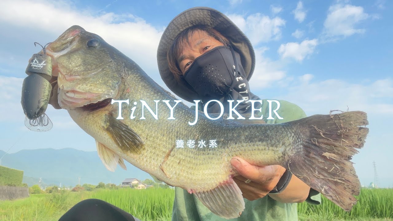 DRT】TiNY JOKER / タイニージョーカー POPPING（RED HEAD#2） - YouTube