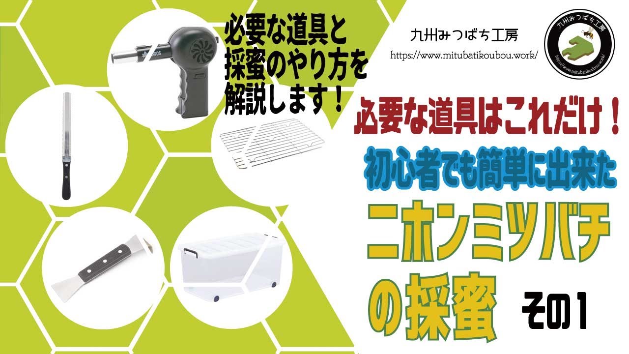 必要な道具はこれだけ！初心者でも簡単に出来たニホンミツバチの採蜜