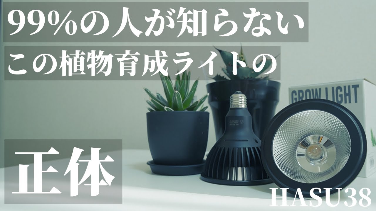 hq720.jpg?sqp=-