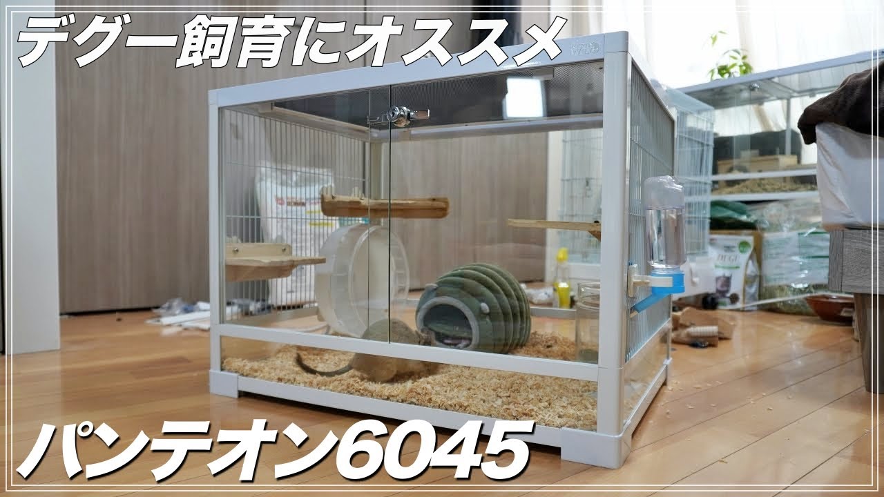 Degu] Introducing the Pantheon 6045! Explanations from assembly to
