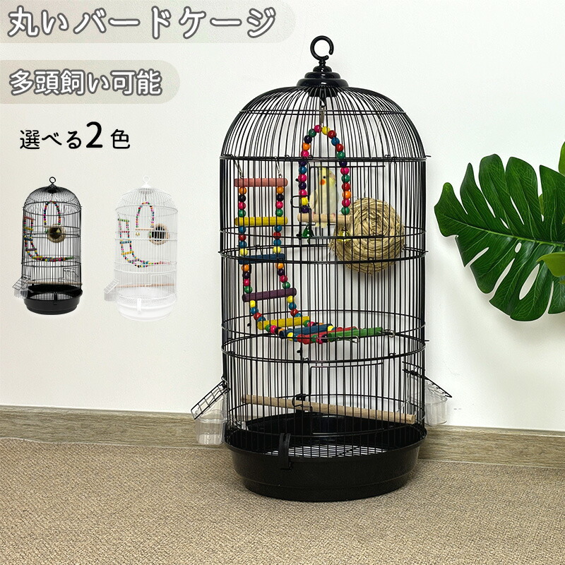 楽天市場】【エントリーP3倍＆300円OFF】RAKU バードケージ 鳥かご 鳥