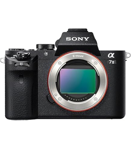 Amazon | SONY ミラーレス一眼 NEX-3N パワーズームレンズキット E PZ