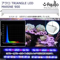 サンゴ向け | チャーム
