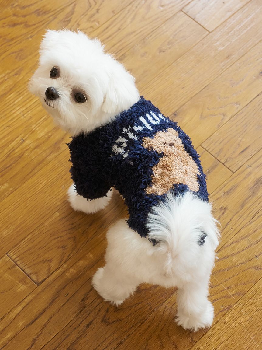 HOLIDAY】【CAT&DOG】ジェラートスノーベアジャガードプルオーバー
