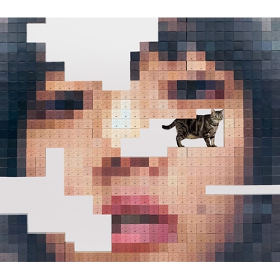 猫にジェラシー 【初回限定DVD盤】(+2DVD) : あいみょん | HMV&BOOKS