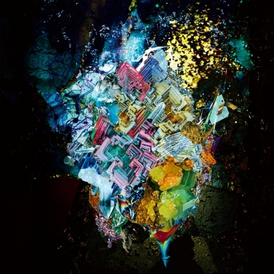と○と罪と 【限定盤】(重量盤/2枚組アナログレコード) : RADWIMPS