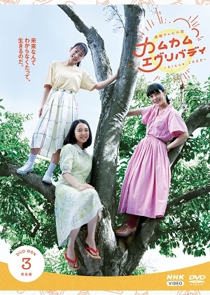 連続テレビ小説 カムカムエヴリバディ 完全版 DVD-BOX3 全4枚 : NHK