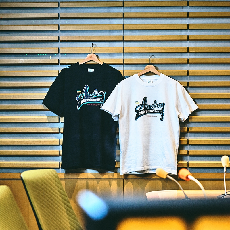 オードリーANN in 東京ドームTシャツ（ネイビー）L : オードリー
