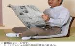 西川 インテリア ボナノッテシートクッション2個セット グレー BU16221