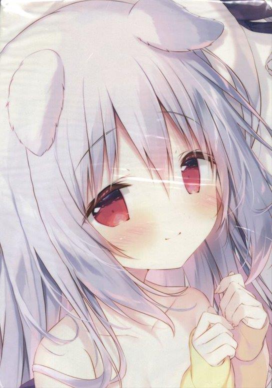 直筆サイン入りアートグラフ しらたま しらたまこ しろいいぬ くろい
