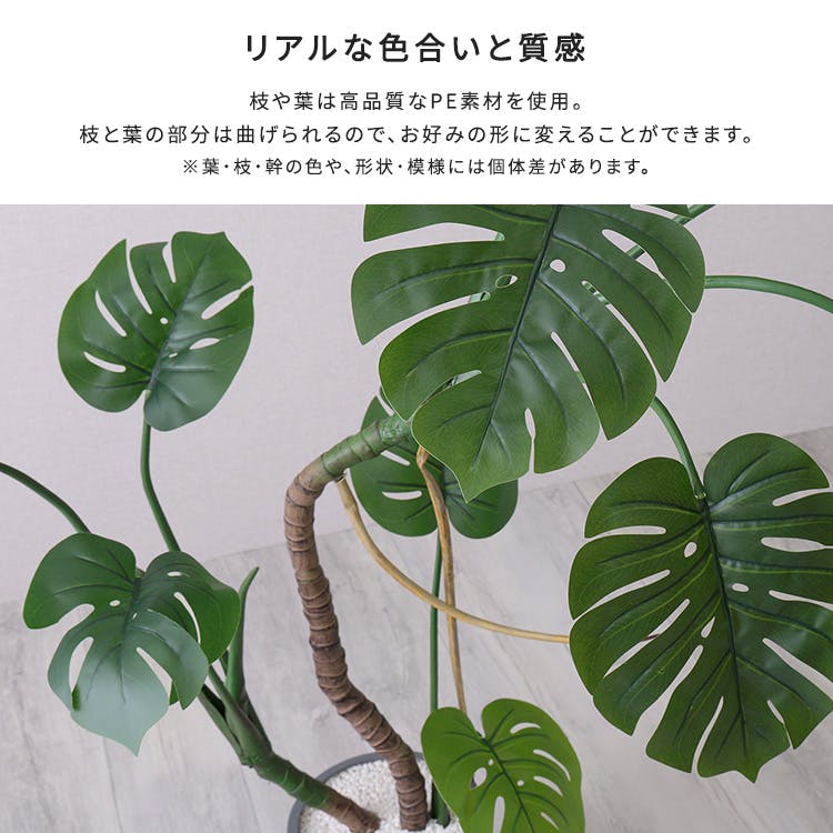 お手入れ簡単フェイクグリーン モンステラ Lサイズ(180cm)／カラー
