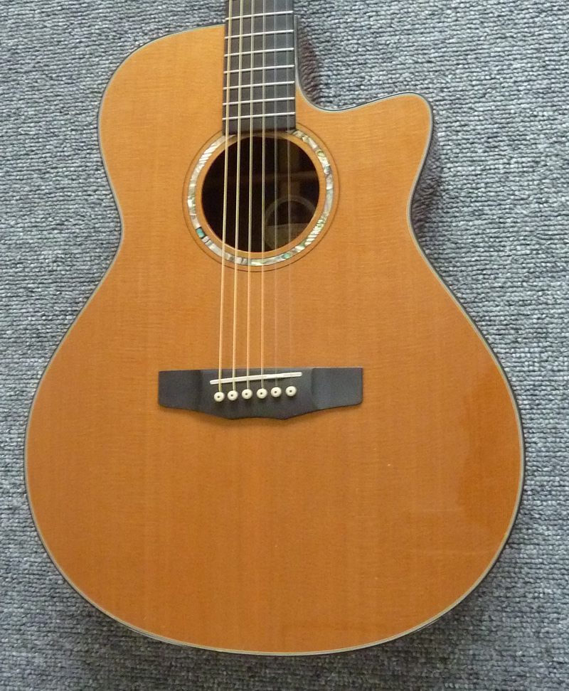 MORRIS/S-102 ￥SOLD (税抜) | アコースティックプラザ井上楽器