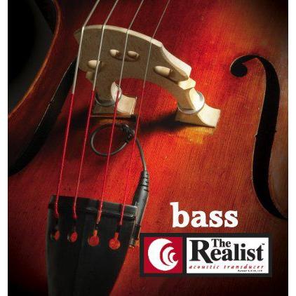 David Gage The Realist Bass “Wood” リアリストウッド 【ウッドベース