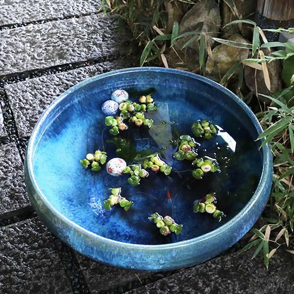 信楽焼 睡蓮鉢 メダカ鉢めだか鉢 陶器 水鉢 ビオトープ 金魚鉢 信楽焼