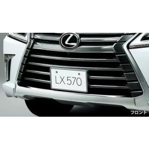 レクサス（LEXUS） 純正用品 CT シーティー 室内ハンガー 08436-00100