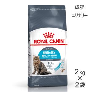 アイシア（AIXIA） 【40g×48袋】アイシア 国産 健康缶パウチ 水分補給