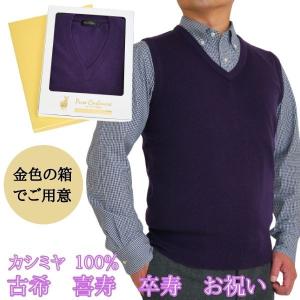 カシミヤ 100％ 無地 前開き ベスト メンズ 男性 ニット カシミア